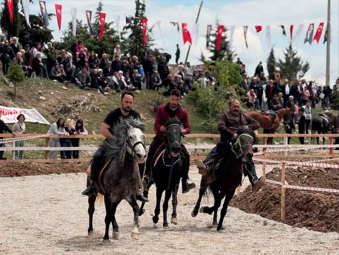 Denizli Cal Rahvan At Mirtlak Senligi Jokey5