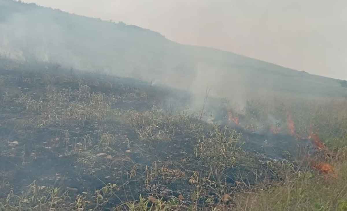 Denizlide Otluk Alanda Yangin Cikti 1