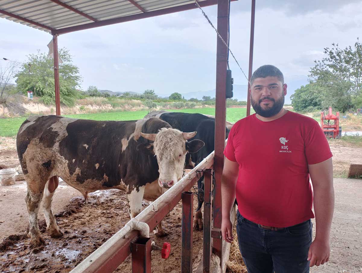 Kurban Bayrami Yaklasirken Ciftlik Sahibinden Altin Degerinde Kampanya