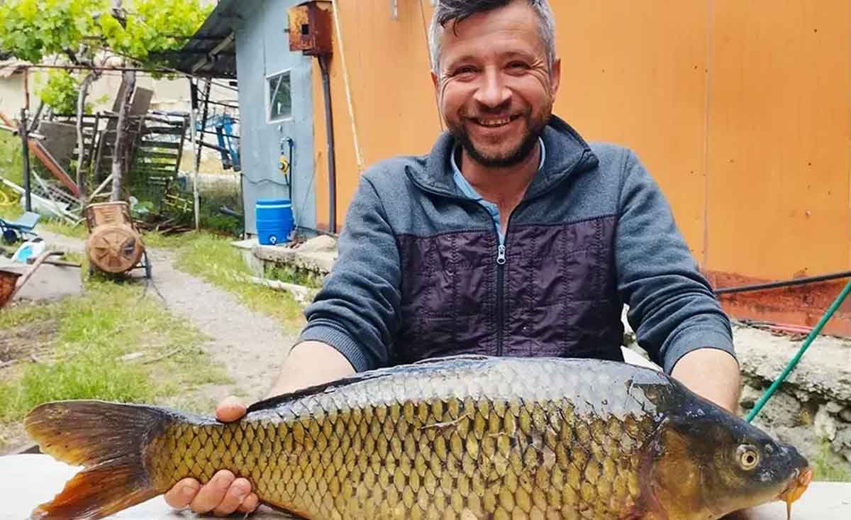 Denizlide Tarlada Dev Sazan Yakaladi