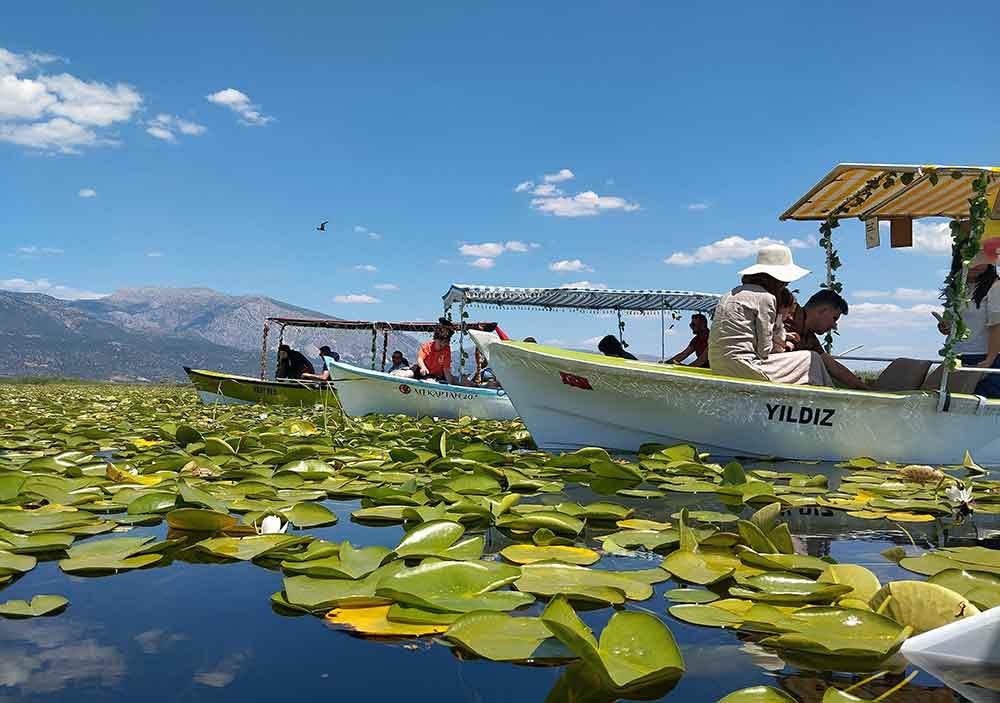 Niluferlerin Gorsel Soleni Yerli Ve Yabanci Turistlerin Ilgi Odagi Oldu 1