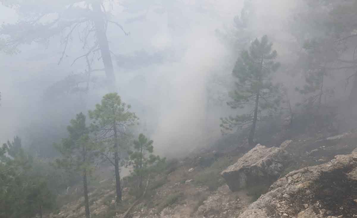 Yildirim Ormanda Yangin Cikti