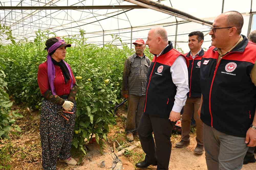 Denizli Acipayam Seracilik Domates Biber Vali Coskun1