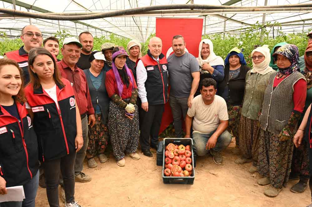 Denizli Acipayam Seracilik Domates Biber Vali Coskun3