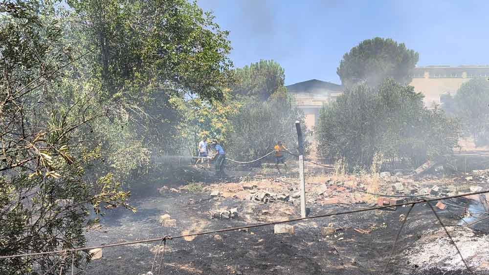 Denizli Yangin Otlu Alan Sevindik1