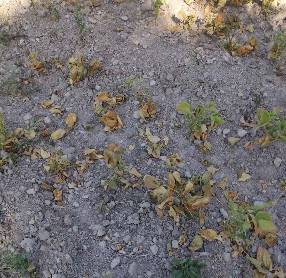 Denizlide Bir Garip Su Kavgasi 1