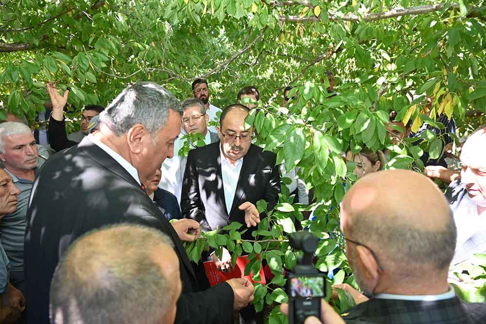 Tbmm Zirai Don Arastirma Komisyonu Civrilde Meyve Bahcelerini Inceledi 4