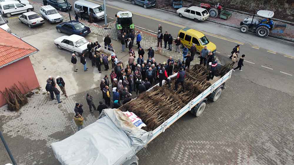 8 Yil Once Baslayan Projeyle Zirve Denizlinin