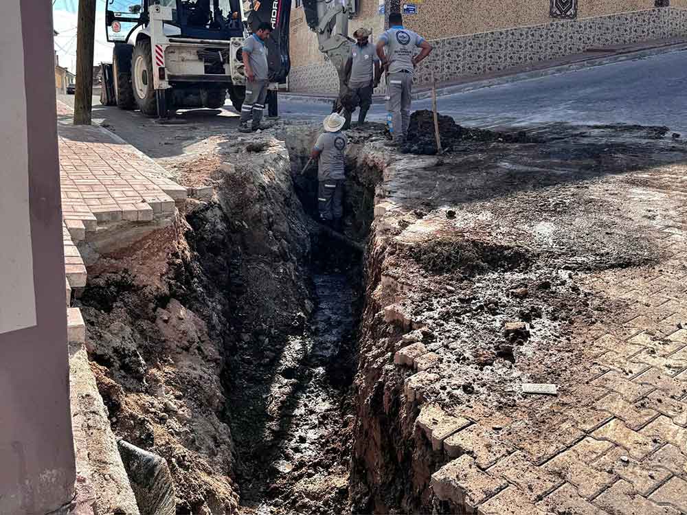 Baskan Tatik Yasli Kadinin Talebi Geri Cevirmedi 3