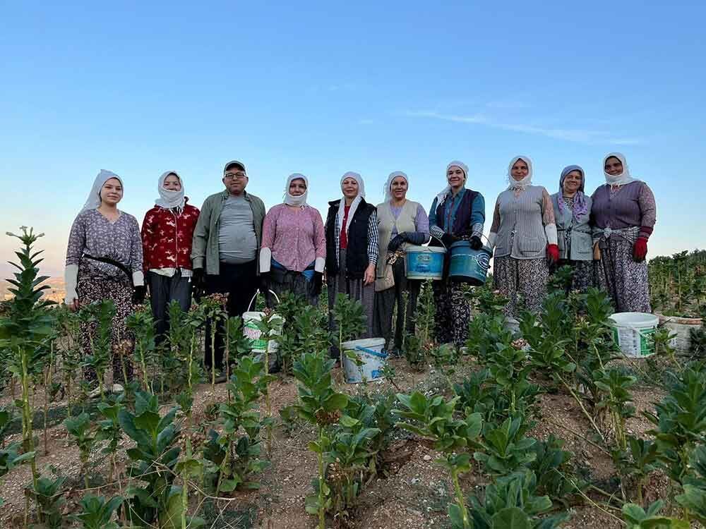 Buldanda Kekik Ve Tutun Ureticilerinin Yuzu Guluyor 3