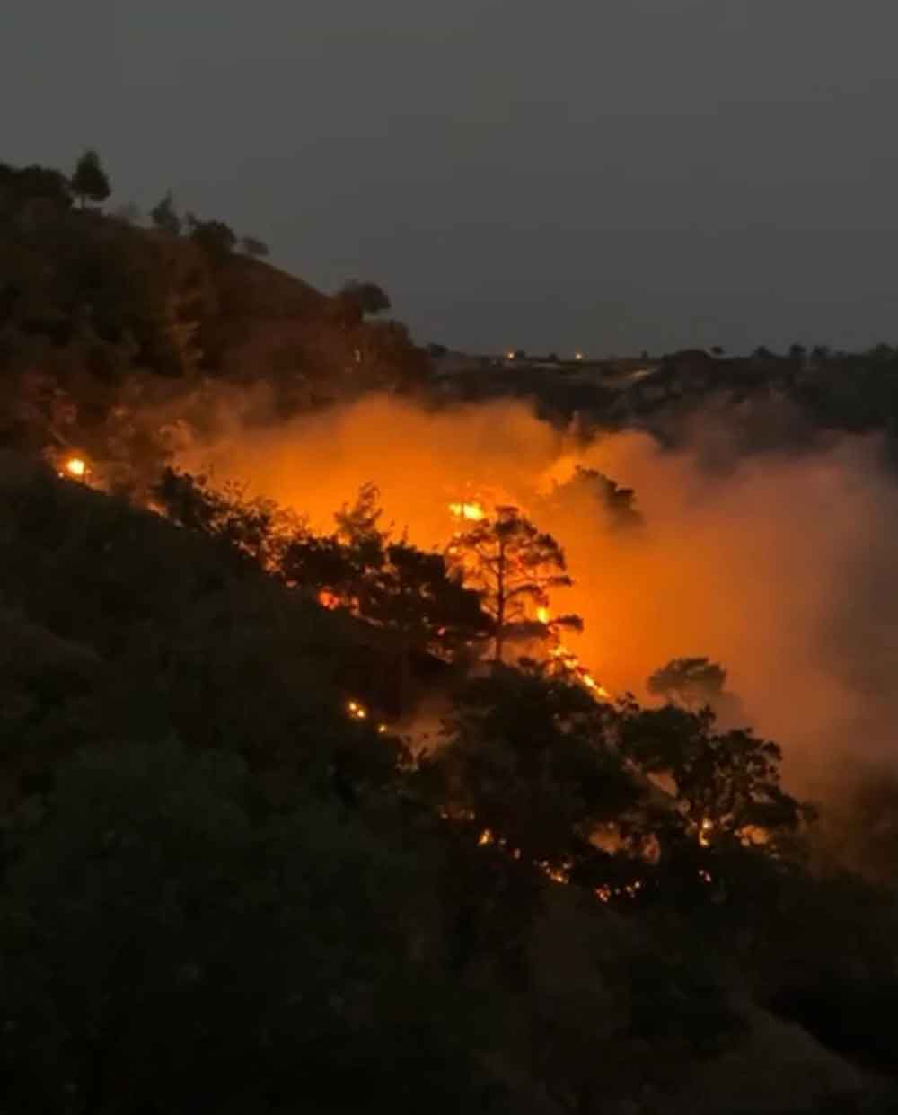 Buldanda Sarp Arazide Orman Yangini Cikti 1