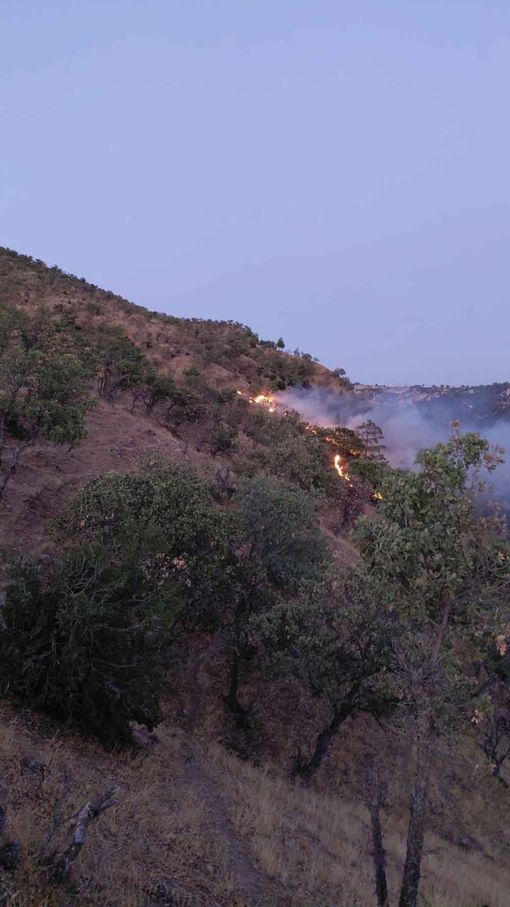 Buldanda Sarp Arazide Orman Yangini Cikti 2