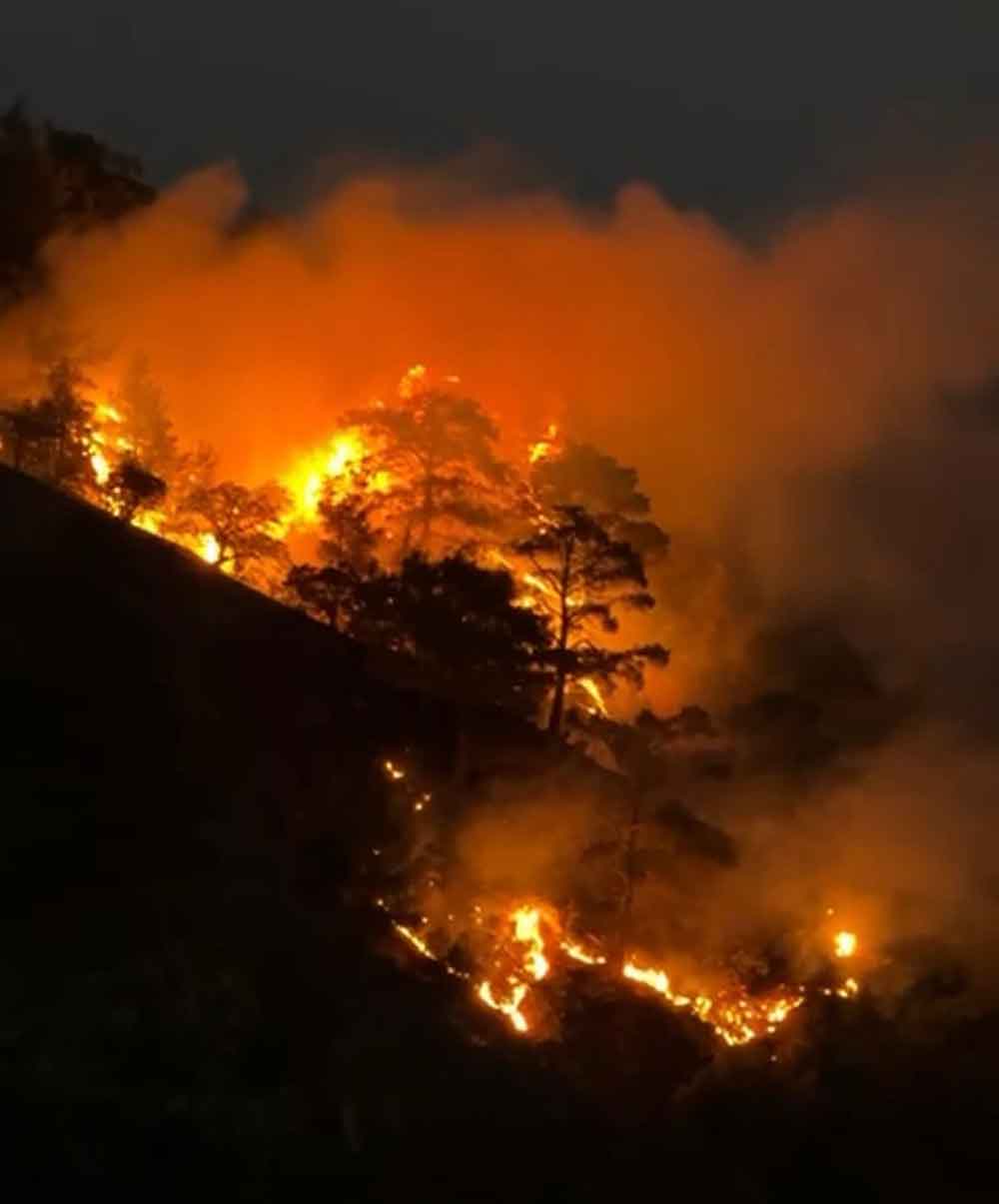 Buldanda Sarp Arazide Orman Yangini Cikti 3