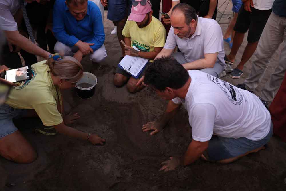 Caretta Caretta Mavi Yolculuk Dekamer Yakup Kaska4