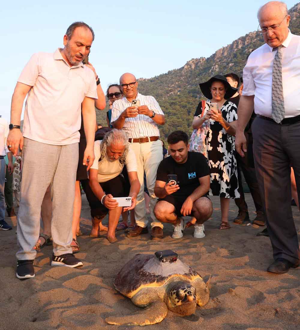 Caretta Caretta Mavi Yolculuk Dekamer Yakup Kaska5