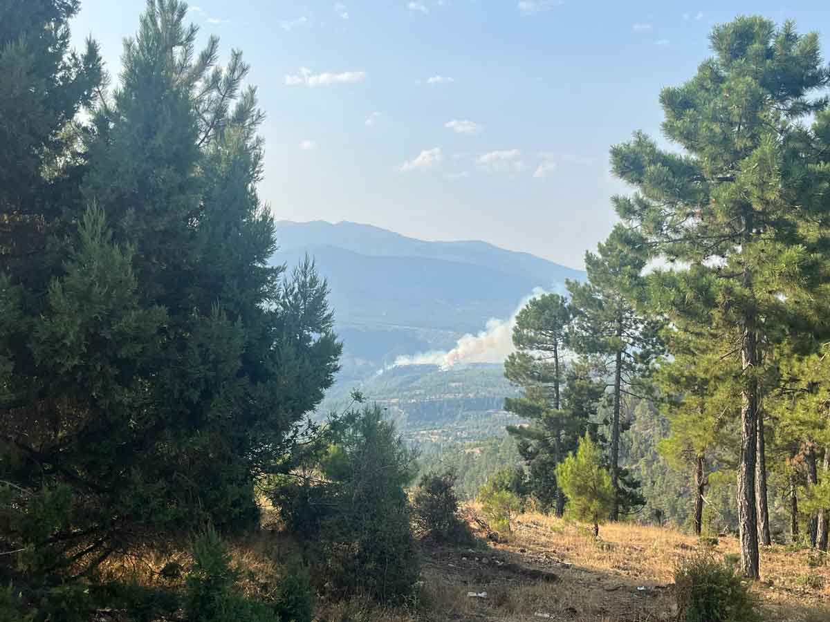 Denizli Acipayam Orman Yangini Golcuk Mahallesi1