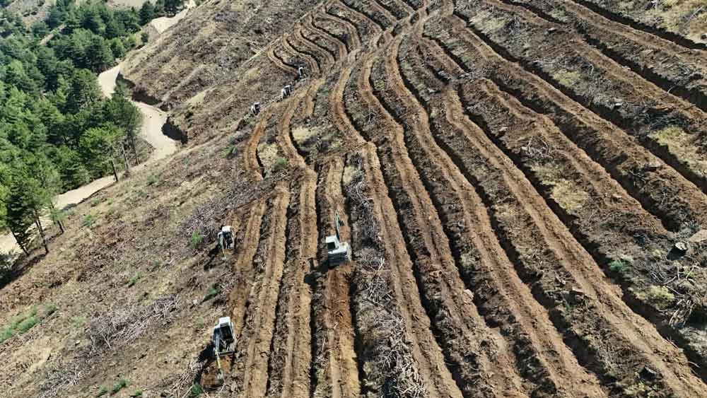 Denizli Babadag Orman Yangini Agarlandirma1