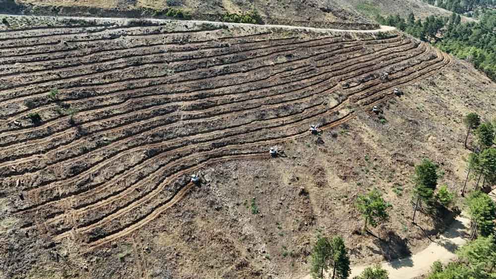 Denizli Babadag Orman Yangini Agarlandirma2