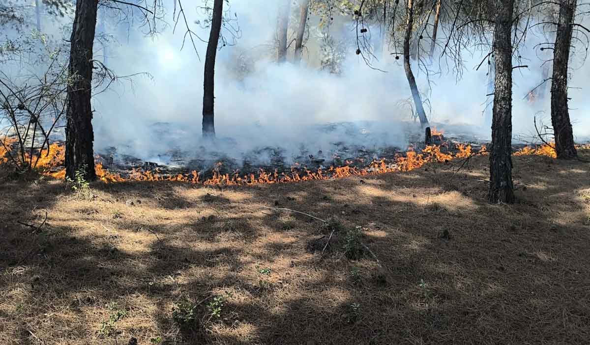 Denizli Buldan Da Orman Yangini 1