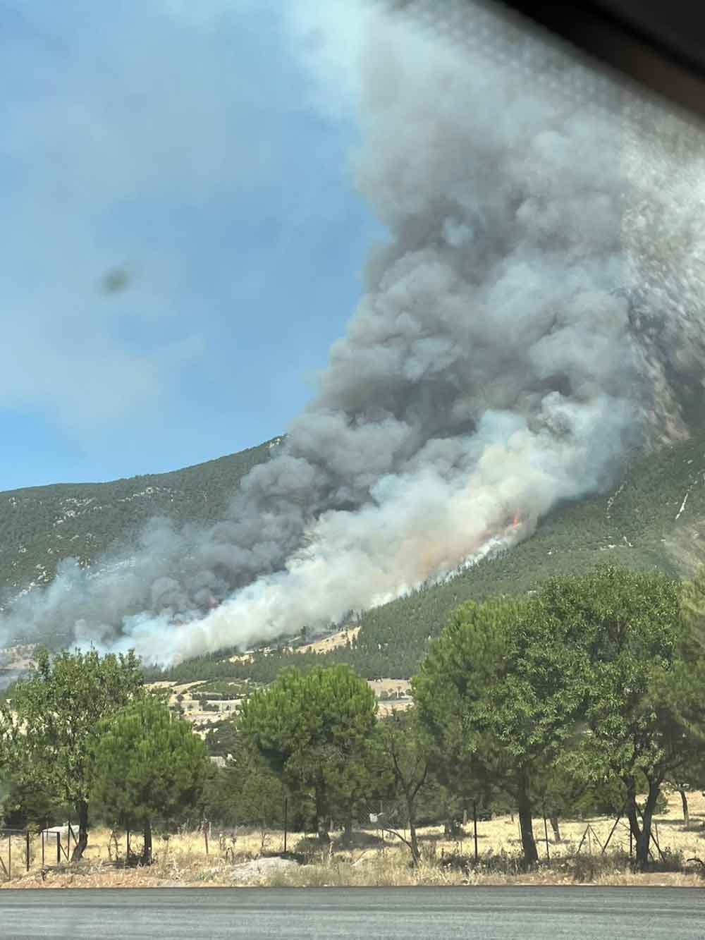 Denizli Honaz Dagi Yangin Cankurtaran Sondakika1