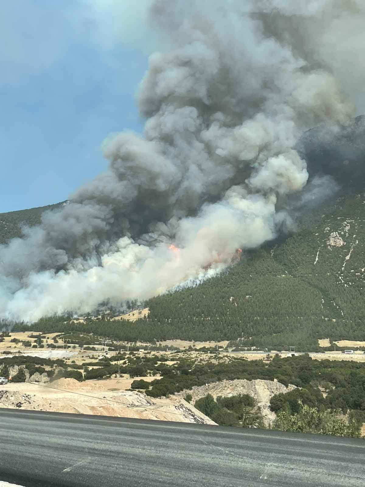 Denizli Honaz Dagi Yangin Cankurtaran Sondakika3