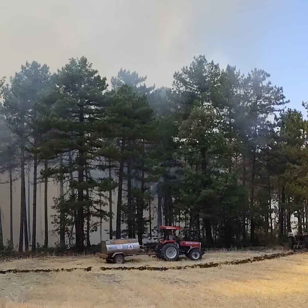 Denizli Honaz Orman Yangini2