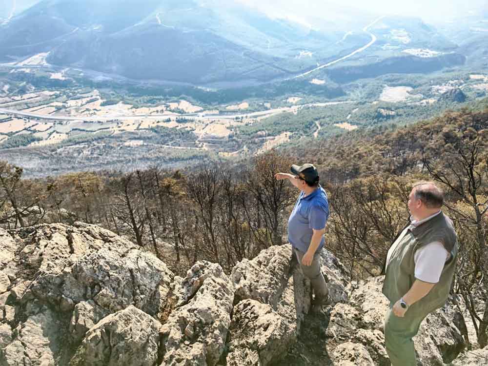 Denizlide Yanan Bolgede Agaclandirma Calismalarina Baslandi 3
