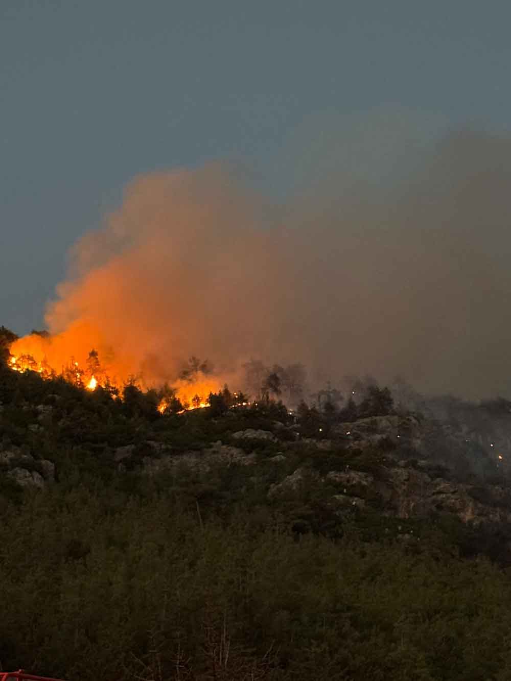 Denizlideki Orman Yangini Kontrol Altina Alindi 2 2