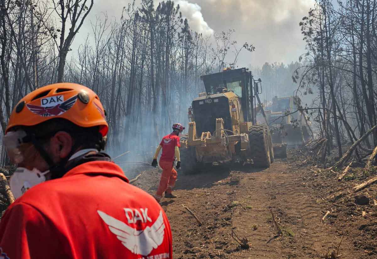 Eskisehir Orman Sehidi Denizli Yangin3