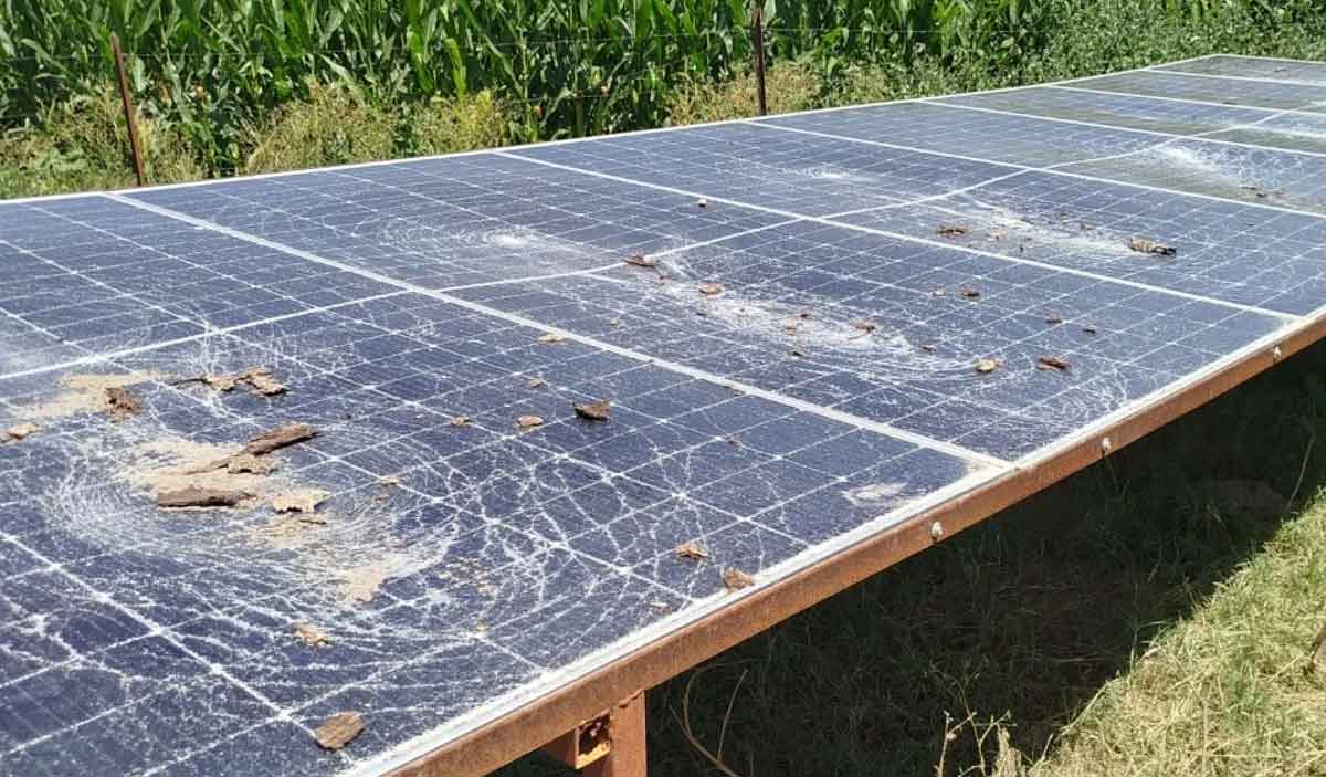 Gorene Yada Bilgi Verene 50 Bin Tl Odul Verilecek 1