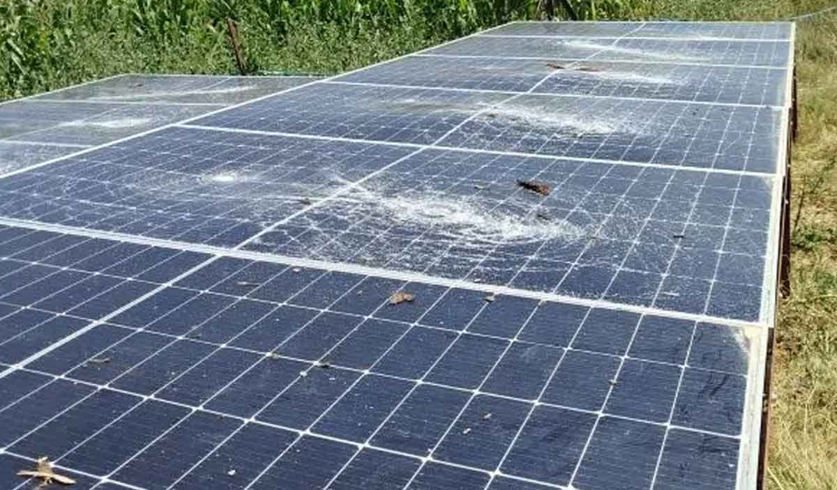 Gorene Yada Bilgi Verene 50 Bin Tl Odul Verilecek