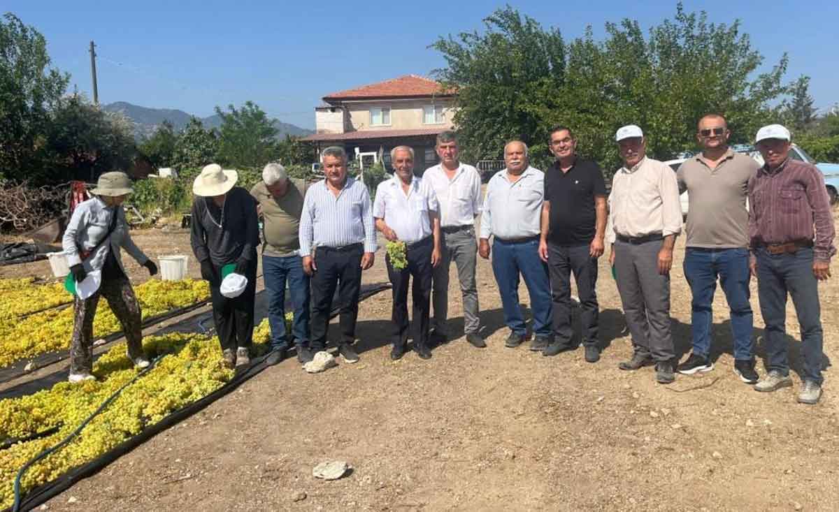 Uzumde Fiyat Belirsizligi Hem Ureticiyi Hem De Calisanlari Tedirgin Ediyor 2