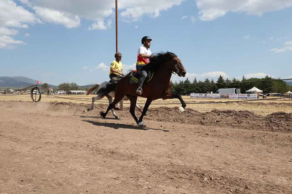 14 Rahvan At Yarislari Tavas Ovasinda Yapildi 2