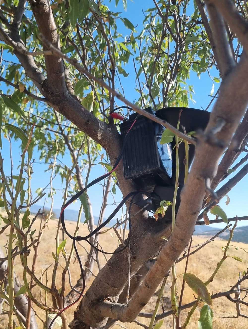 Denizli Buldan Kacak Avci Ses Sistemi Bildircin1