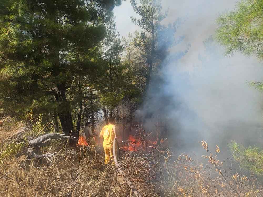 Denizli Buldanda Ormanlik Alanda Yangin Cikti 3