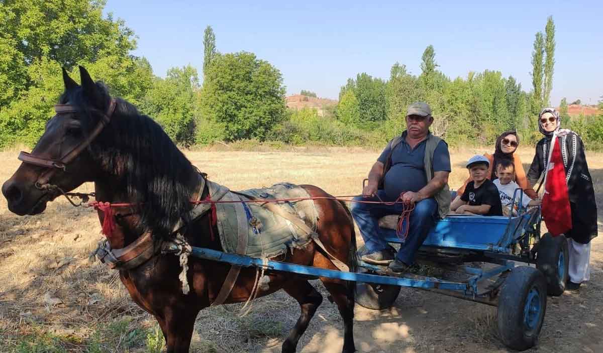 Deve Kervani 105 Yil Sonra Tarihi Hancalar Koprusunden Gecti 1