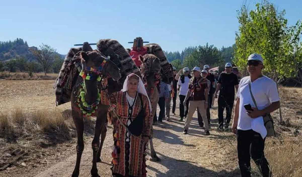 Deve Kervani 105 Yil Sonra Tarihi Hancalar Koprusunden Gecti