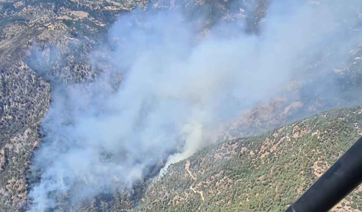 Ot Temizlemek Isterken Ormani Yakan 3 Supheli Gozaltina Alindi 1
