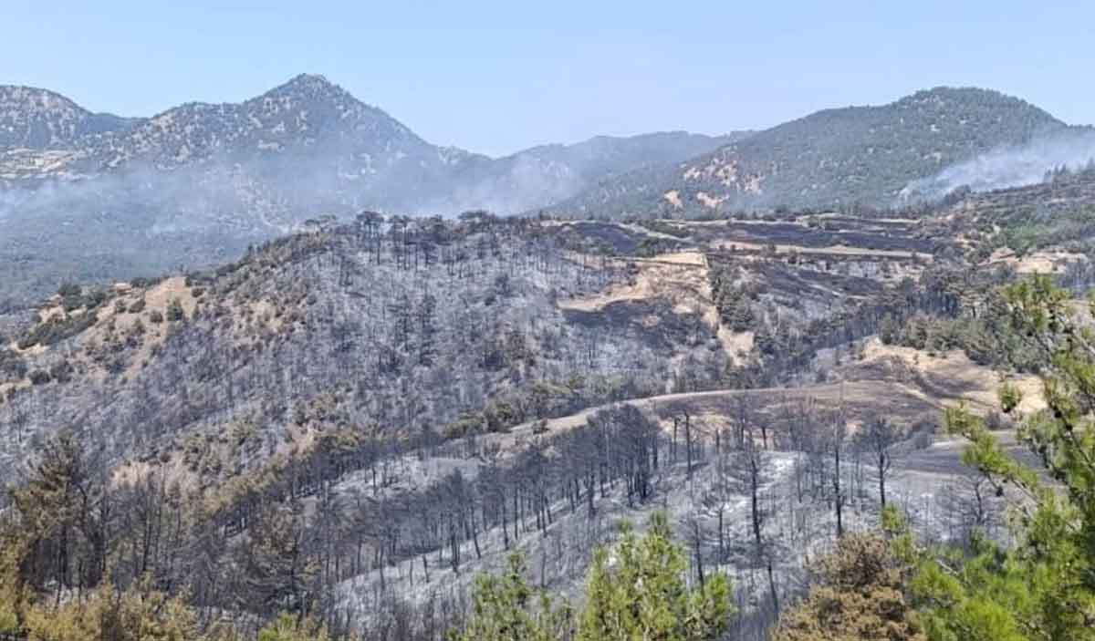 Ot Temizlemek Isterken Ormani Yakan 3 Supheli Gozaltina Alindi 2