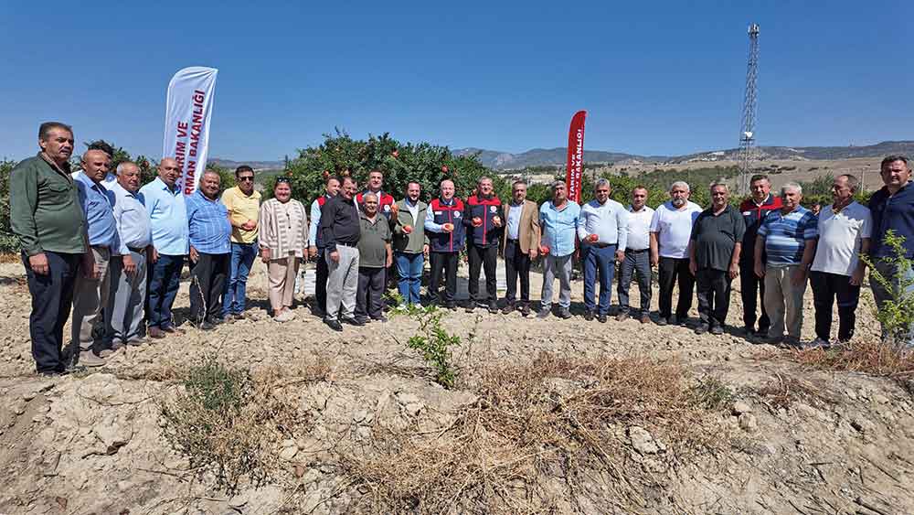 Pamukkalede Nar Hasadi Basladi 1