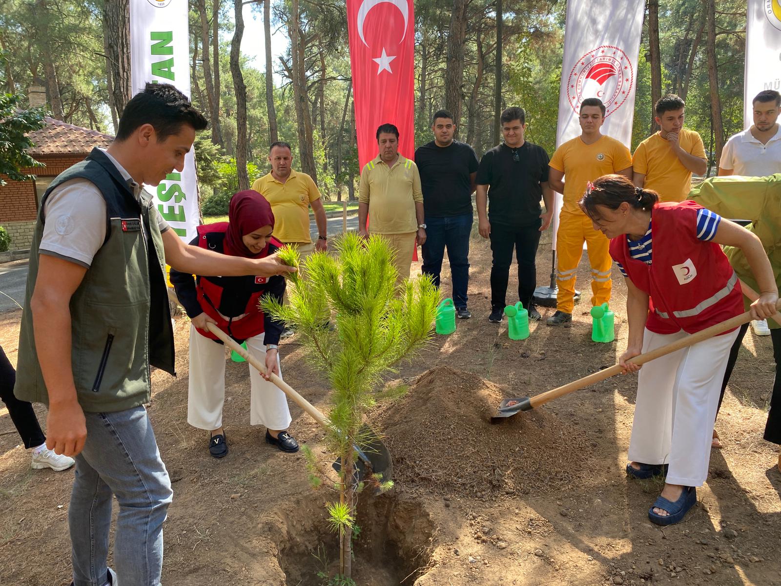 Whatsapp Image 2025 09 12 At 23.22.31 (3)