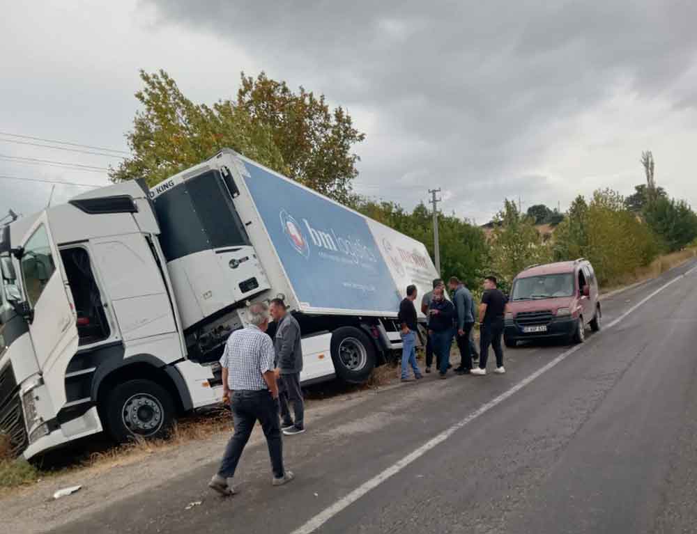Yagista Yoldan Cikan Tir Sarampole Girdi 4