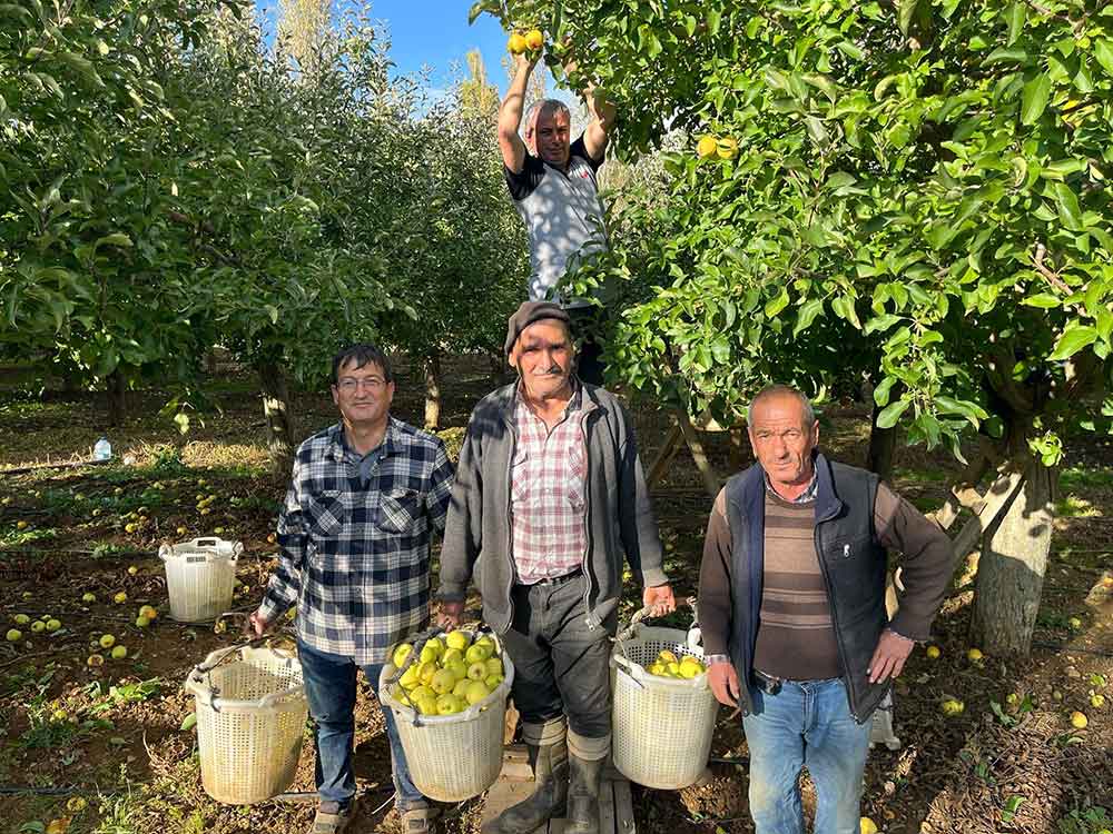 Buldan Elmasi Bu Yil Rekor Kirdi Ureticinin Yuzu Guldu 1