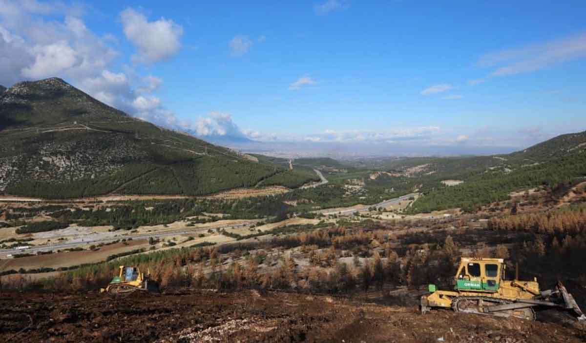 Cankurtaranda Yanan Bolgeler Yesillendiriliyor 1