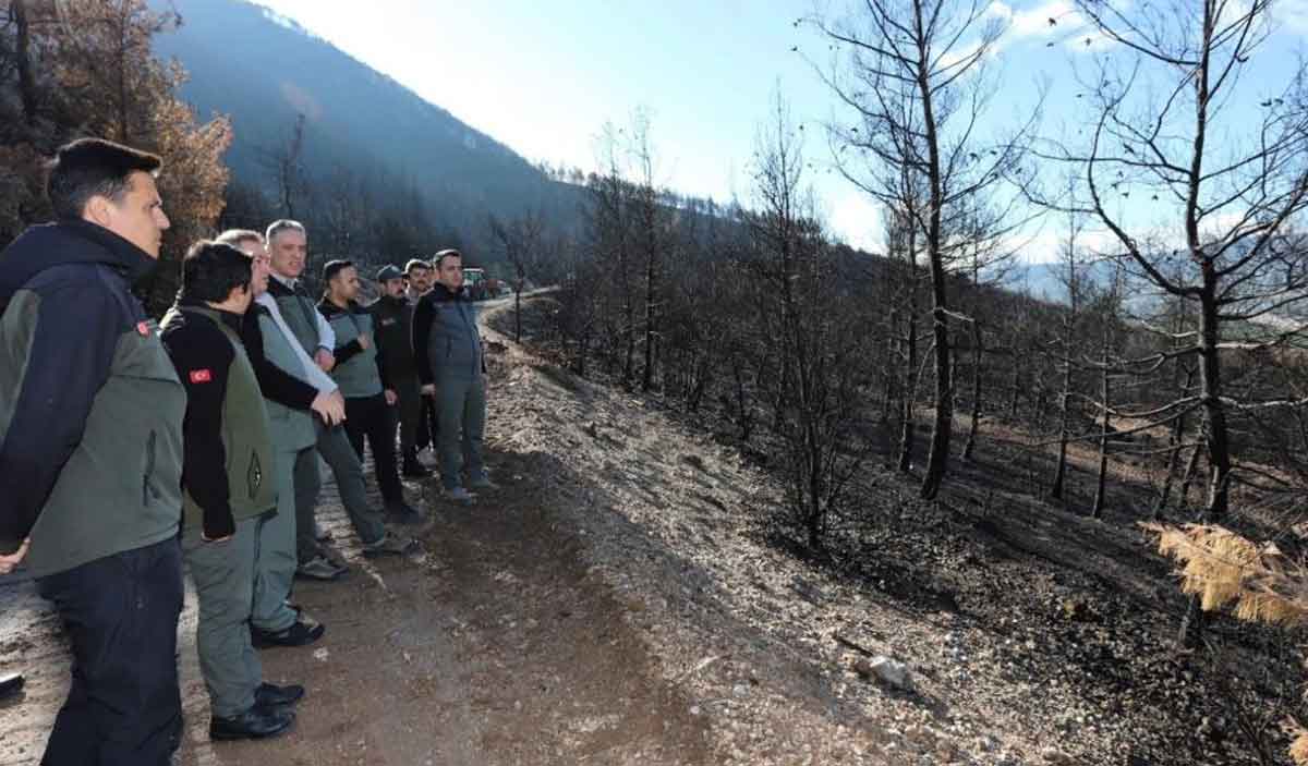 Cankurtaranda Yanan Bolgeler Yesillendiriliyor 2