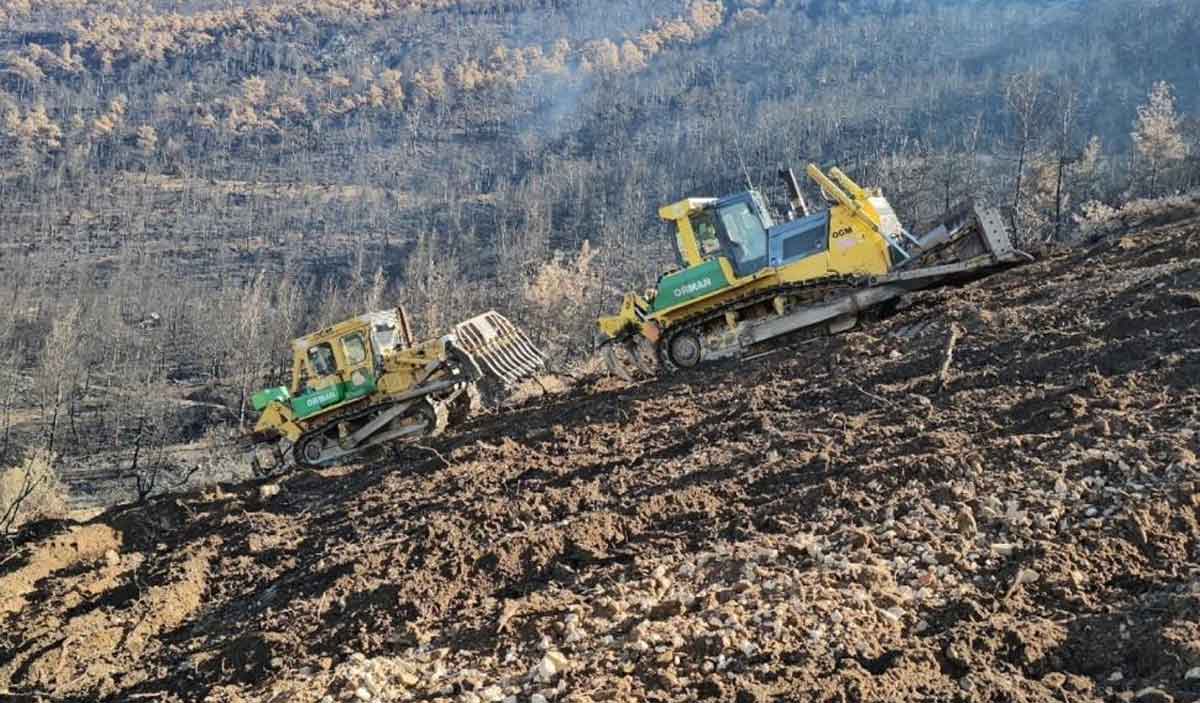 Cankurtaranda Yanan Bolgeler Yesillendiriliyor 3