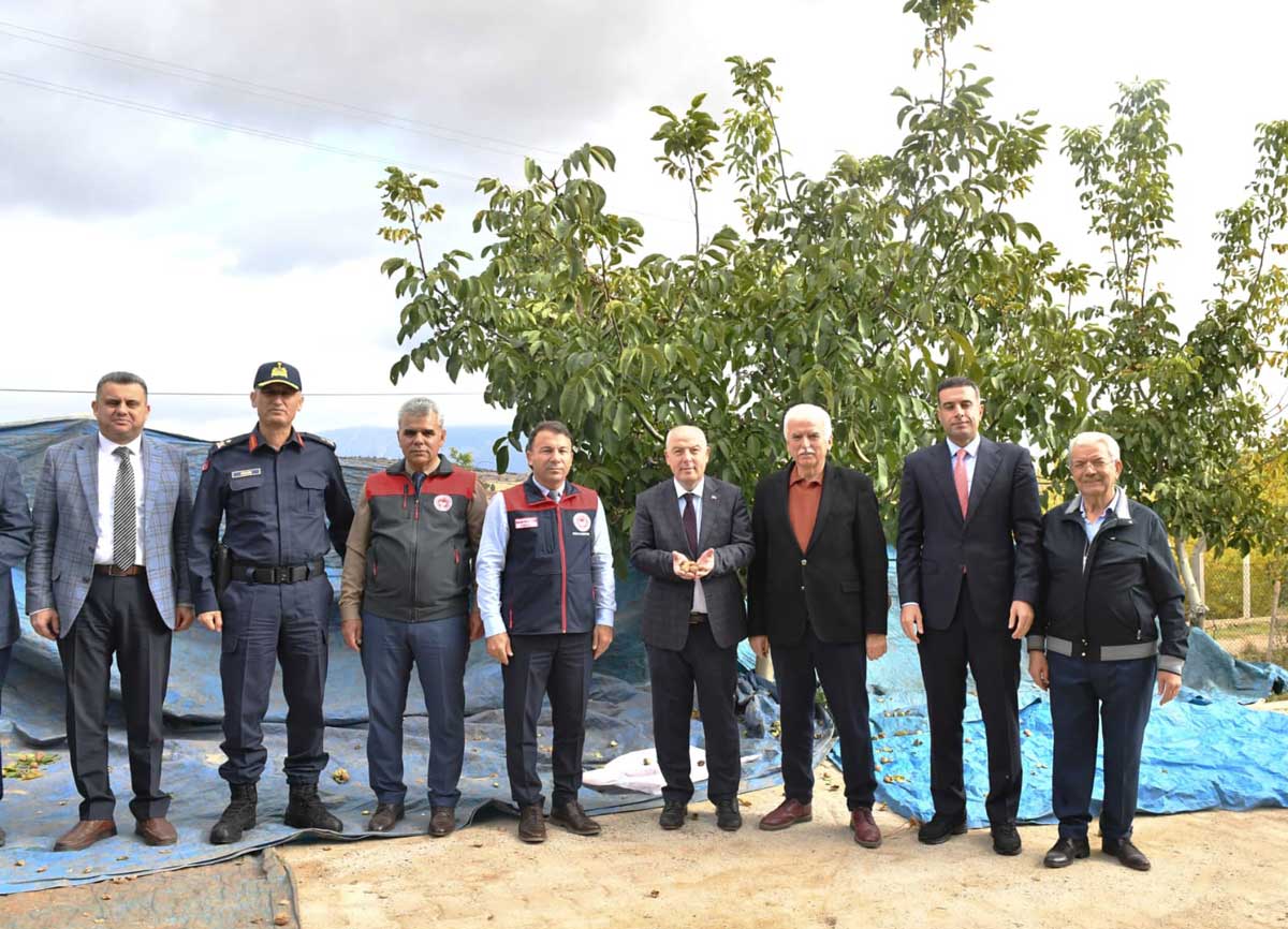 Cevizin Baskenti Denizlide Ceviz Hasadi Basladi4