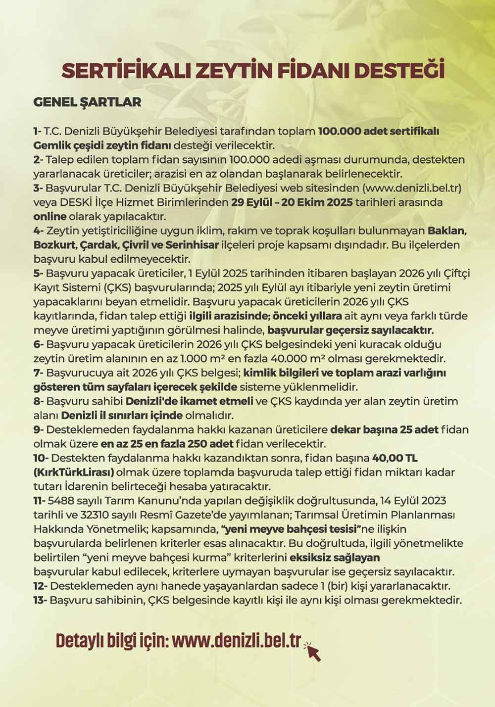 Denizli Buyuksehirden Ureticiye 100 Bin Zeytin Fidani Destegi 1