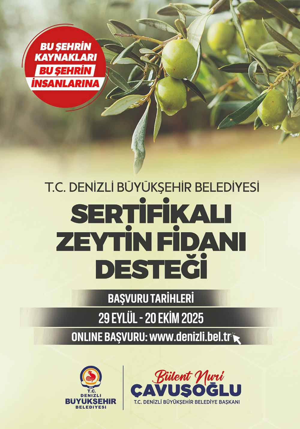 Denizli Buyuksehirden Ureticiye 100 Bin Zeytin Fidani Destegi
