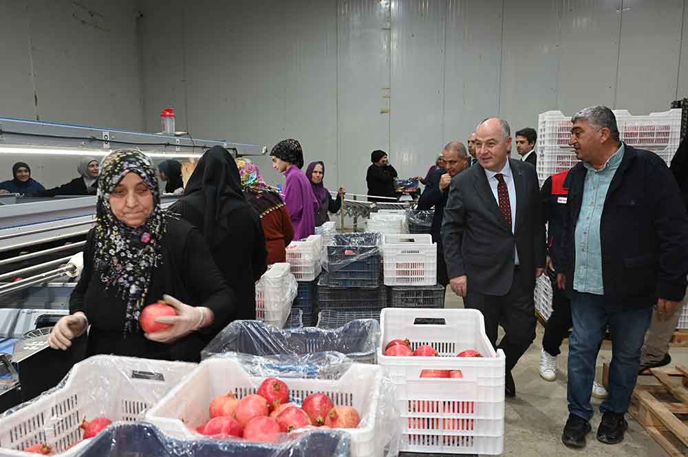 Denizli Nari Israil Narinin Onune Gecti 1